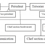 graphique Effets des activités des associations locales sur le processus de développement de leur territoire Cas de la vallée du Mzab Wilaya de Ghardaia 6