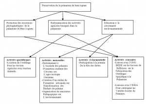 graphique Effets des activités des associations locales sur le processus de développement de leur territoire Cas de la vallée du Mzab Wilaya de Ghardaia 8