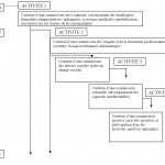 graphique Effets des activités des associations locales sur le processus de développement de leur territoire Cas de la vallée du Mzab Wilaya de Ghardaia 9