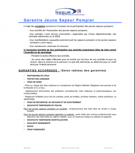 Annexe 7 L’Assurance d’une Profession à Risques Les Sapeurs-Pompiers (2)